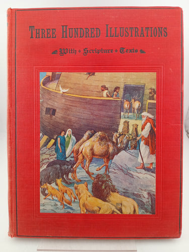 Three Hundred Illustrations with Scripture Texts by Gospel Publication Depot - Book Express - Used Print Books