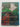 Inspiration in the Garden by Peter Sergel, Ian Baker