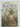 Print Books - The Ruby Key (Moon & Sun) by Holly Lisle - Book Express