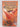 The Ship Who Won by Anne McCaffrey,Jody Lynn Nye