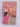 Praise Song for the Widow by Paule Marshall