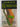 The Predators by Harold Robbins