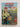 Print Books - Old Bucky & Me by Jane Bowron - Book Express