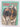 Cricket From Father to Son by T.C. Dodds