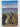 James Herriot's Dog Stories by James Herriot
