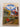 Trains around the world by Anon