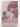 Mansfield: A Novel by C. K. Stead