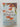Print Books - Flight Behaviour by Barbara Kingsolver - Book Express