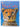Eyewonder: Big Cats by Sarah Walker