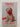 Marley: A Dog Like No Other by John Grogan