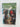 Occasion for Loving by Nadine Gordimer