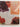 The Harvest Wholefoods Collection by Loris Stone