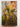 The Queen's Fool by Philippa Gregory