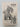 The Giant Schnauzer in America by Sylvia Hammarstrom