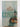 Print Books - The Devil's Feather by Minette Walters - Book Express