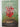 Print Books - Inferno by Dan Brown - Book Express