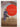 The Aviator's Wife: A Novel by Melanie Benjamin