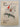 Print Books - Pukunui the Astronaut by James Waerea,Pat Hohepa - Book Express