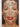 Print Books - The Fictional Woman by Tara Moss - Book Express