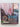 Print Books - The Kiwi Bach Companion by Kirsty Cameron - Book Express