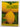 Palmer's Citrus Handbook by Eion Scarrow