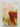 Three Summers by Judith Clarke