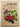 Shrubs by Roger Phillips,Martyn Rix