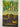 Print Books - Acid Row by Minette Walters - Book Express