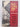 Life in a young colony : selections from early New Zealand writing by Cherry A. Hankin