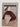 Print Books - Faces of Hachiko by Ian Middleton - Book Express