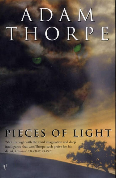 Pieces of Light cover image