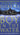 Boy in the Water cover image