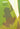 The National Strategy for the Conservation of Australia's Biological Diversity cover image