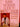 Every Woman's Guide to Breast Cancer by Vicki Seltzer (1987-08-05) cover image