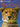 Eyewonder: Big Cats cover image