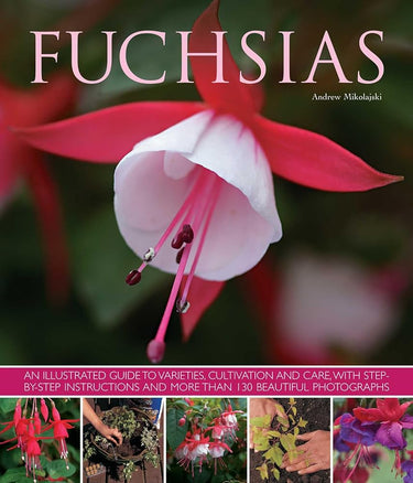 Fuchsias: An illustrated guide to varieties, cultivation and care, with step-by-step instructions and more than 130 beautiful photographs cover image