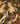 Houghton Revisited: The Walpole Masterpieces from Catherine the Great's Hermitage cover image