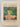 New Zealand City Gardens by Susan Firth, Gil Hanly