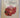 The Harry Wheatcroft book of roses by Harry Wheatcroft