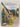 Britain in Colour by R. M. Lockley