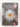 Everlasting daisies of Australia: Identification - propagation - cultivation by Study Group Australian Daisy,Australian Daisy Study Group