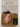 Vanishing Acts by Jodi Picoult