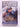Wildlife Warrior: Steve Irwin: 1962 - 2006, a Man Who Changed the World by Richard Shears