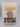 Print Books - Windmills of the gods (Guild Publishing) by Sidney Sheldon - Book Express