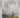 An Angel at my Table, An Autobiography: Volume Two by Janet Frame