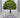 Apples Never Fall by Liane Moriarty