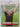 Turning Point by Sean Fitzpatrick