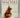 The Devil's Feather by Minette Walters