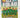 Izzy Folau 4: Standing Tall by David Harding and Izzy Folauchi