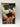 The Moonstone by Wilkie Collins,David Blair